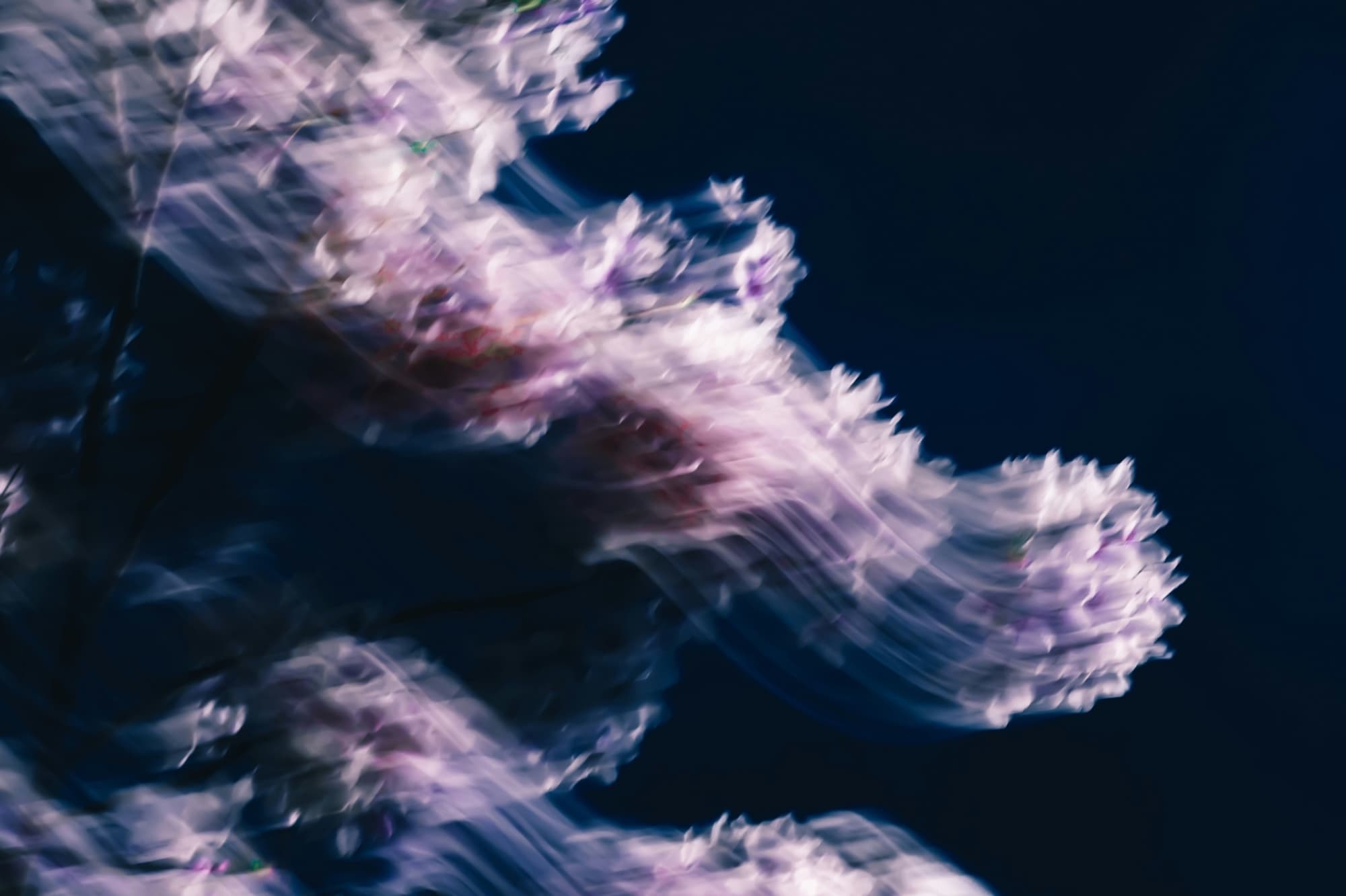 Nikita taparia lo KDD Hg V9 Xo unsplash